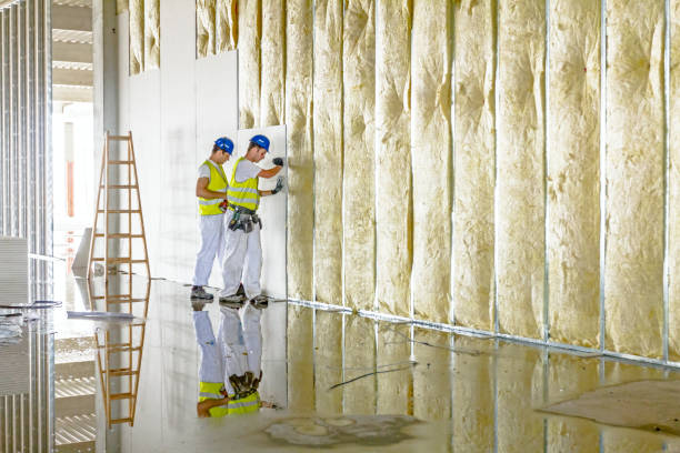 Best Energy Efficiency Solutions in Olympia Fields, IL